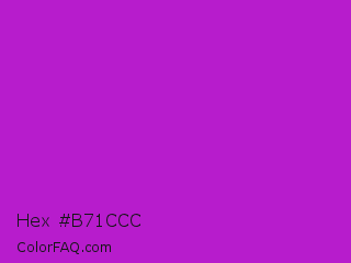 Hex #b71ccc Color Image