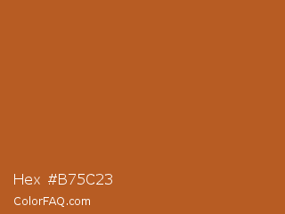 Hex #b75c23 Color Image