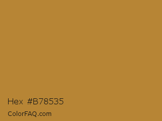 Hex #b78535 Color Image