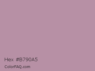Hex #b790a5 Color Image