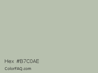 Hex #b7c0ae Color Image