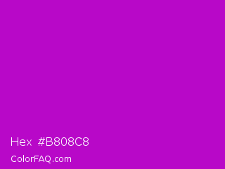 Hex #b808c8 Color Image