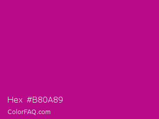 Hex #b80a89 Color Image