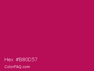 Hex #b80d57 Color Image