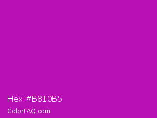 Hex #b810b5 Color Image