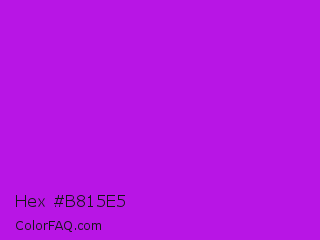 Hex #b815e5 Color Image