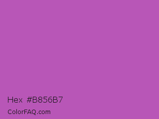 Hex #b856b7 Color Image