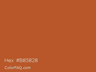 Hex #b85828 Color Image