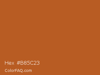 Hex #b85c23 Color Image