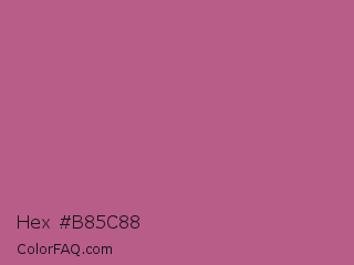 Hex #b85c88 Color Image