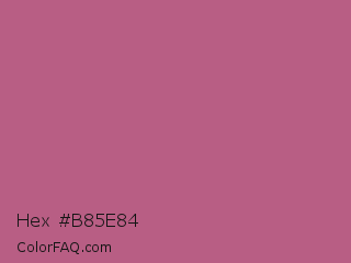 Hex #b85e84 Color Image
