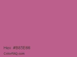 Hex #b85e88 Color Image