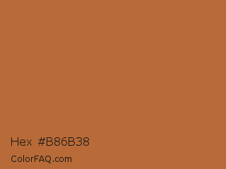 Hex #b86b38 Color Image