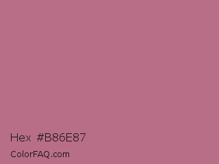 Hex #b86e87 Color Image