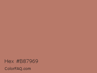 Hex #b87969 Color Image