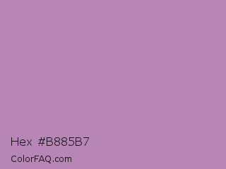 Hex #b885b7 Color Image