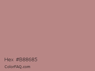 Hex #b88685 Color Image