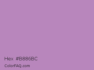 Hex #b886bc Color Image
