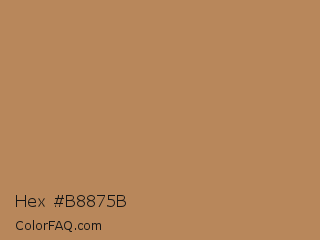 Hex #b8875b Color Image