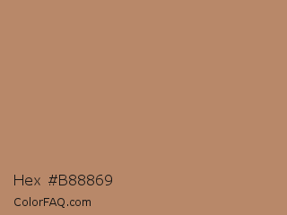 Hex #b88869 Color Image