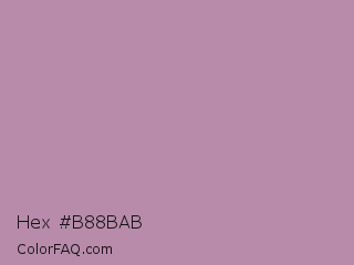 Hex #b88bab Color Image