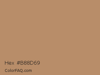 Hex #b88d69 Color Image