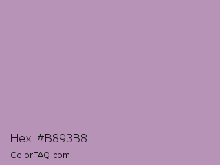 Hex #b893b8 Color Image