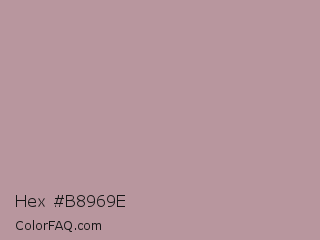 Hex #b8969e Color Image