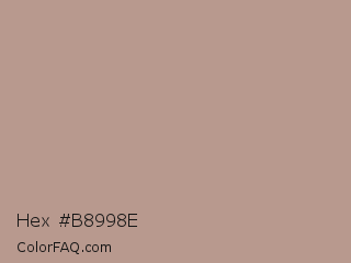 Hex #b8998e Color Image