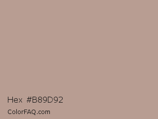 Hex #b89d92 Color Image