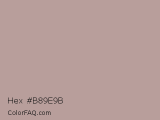 Hex #b89e9b Color Image