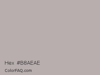 Hex #b8aeae Color Image