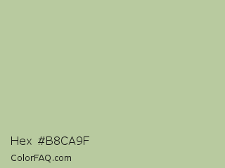 Hex #b8ca9f Color Image