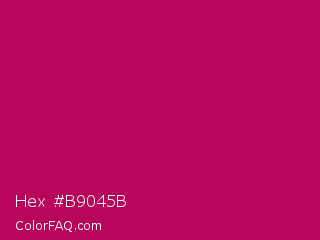 Hex #b9045b Color Image