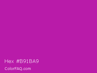 Hex #b91ba9 Color Image