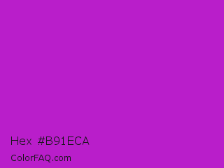 Hex #b91eca Color Image
