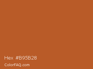 Hex #b95b28 Color Image
