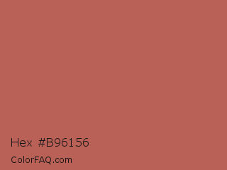 Hex #b96156 Color Image