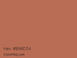Hex #b96d54 Color Image