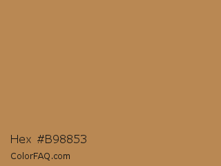 Hex #b98853 Color Image