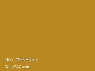 Hex #b98923 Color Image