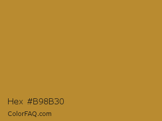 Hex #b98b30 Color Image