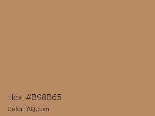 Hex #b98b65 Color Image