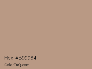 Hex #b99984 Color Image