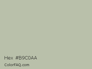 Hex #b9c0aa Color Image