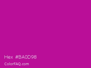 Hex #ba0d98 Color Image