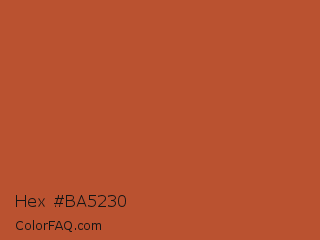 Hex #ba5230 Color Image