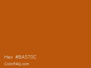 Hex #ba570c Color Image