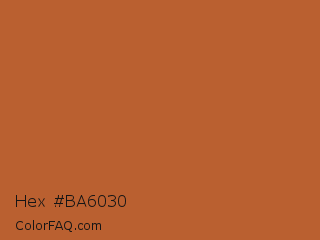 Hex #ba6030 Color Image