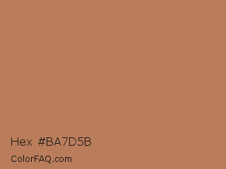 Hex #ba7d5b Color Image